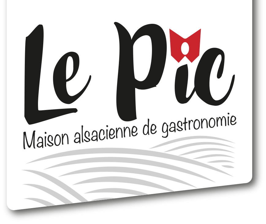 LEPIC-logo institutionnel-cartouche