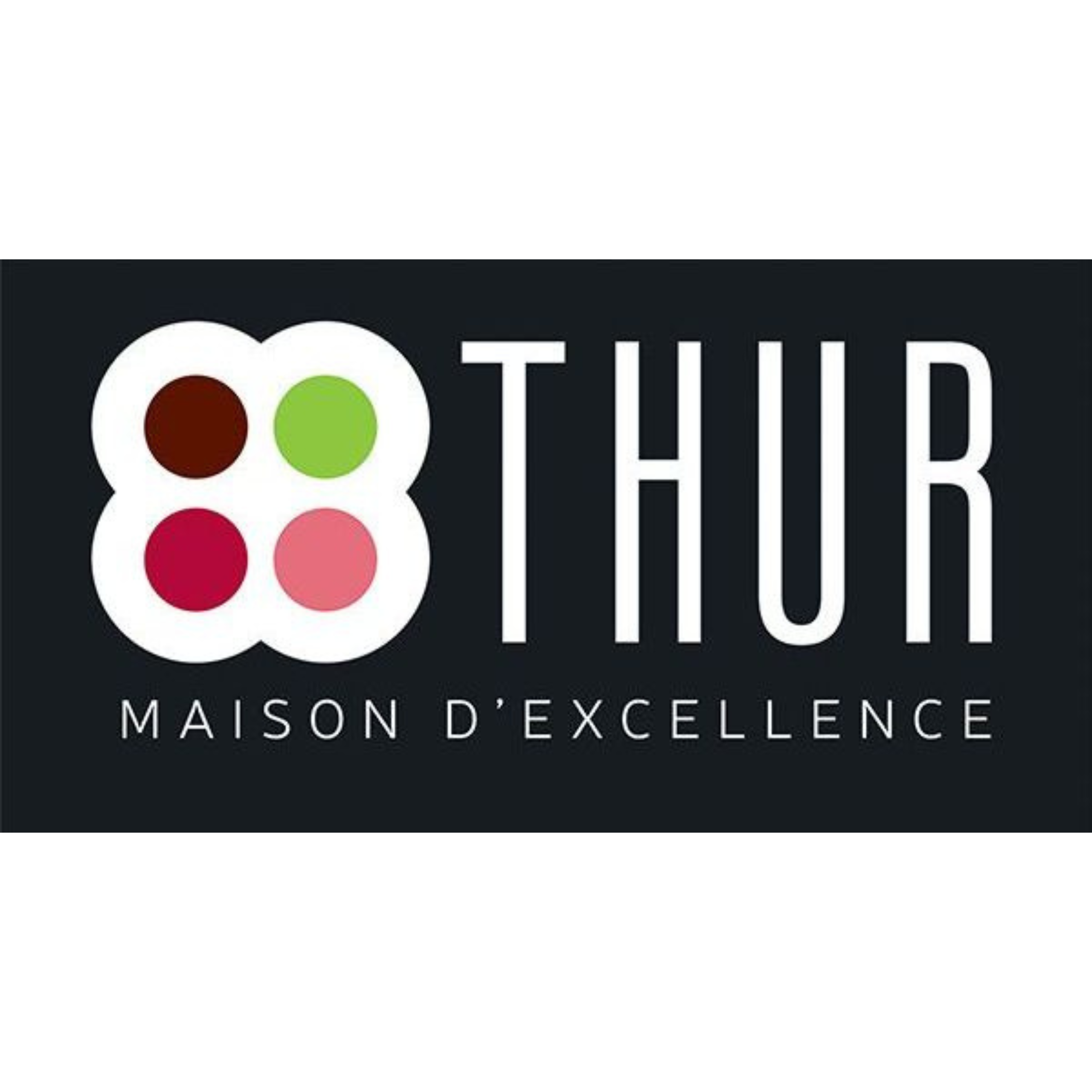 Logo Thur maison d'excellence