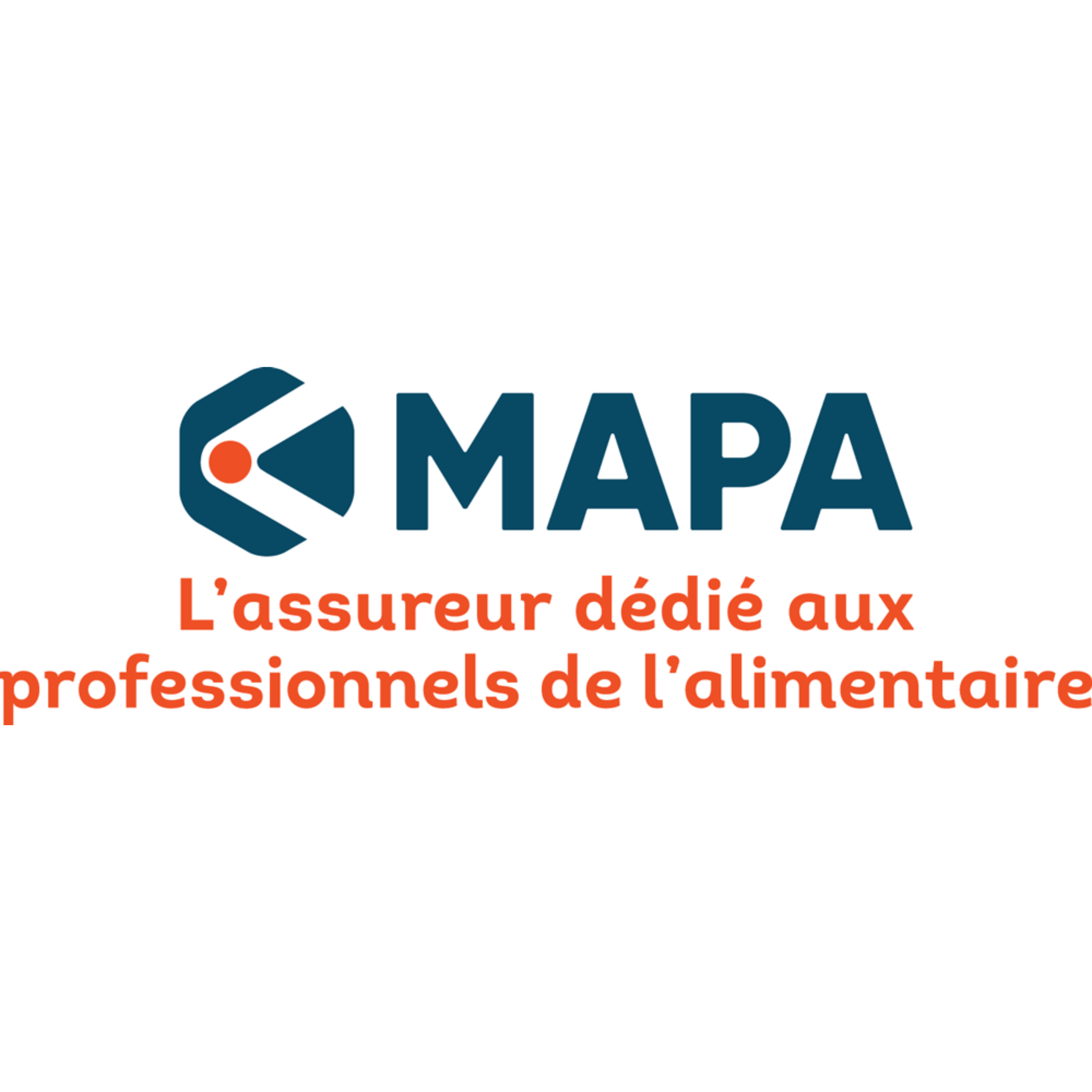 Logo Mapa